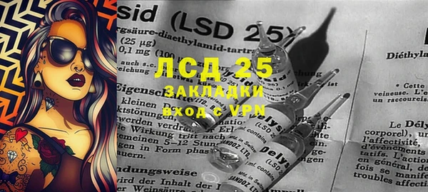 сатива Аркадак