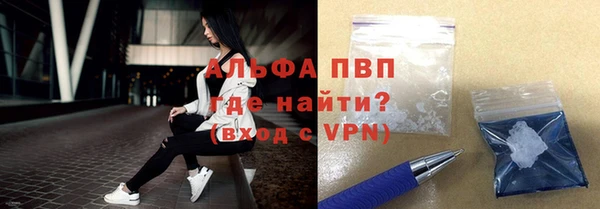 сатива Аркадак
