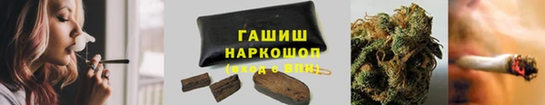 сатива Аркадак