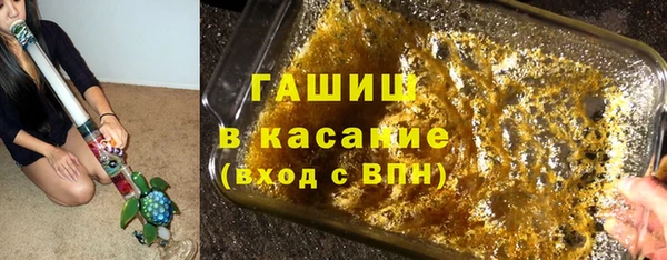 сатива Аркадак