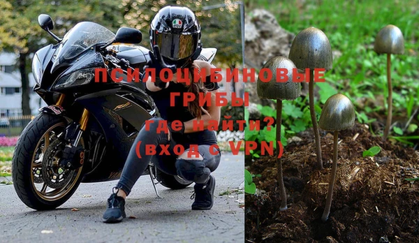 сатива Аркадак