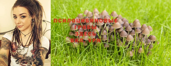 стафф Армянск
