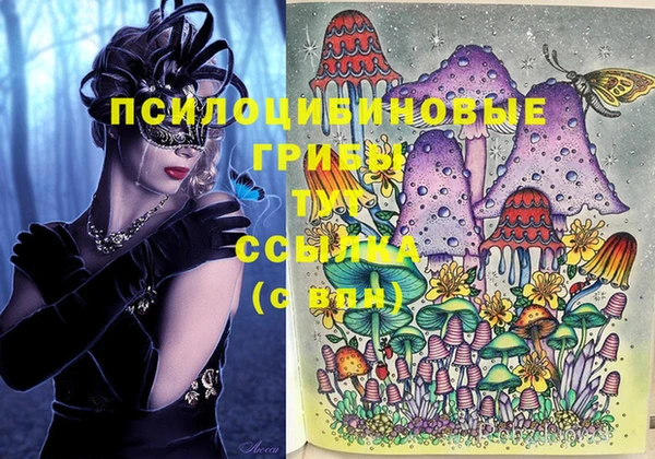 стафф Армянск