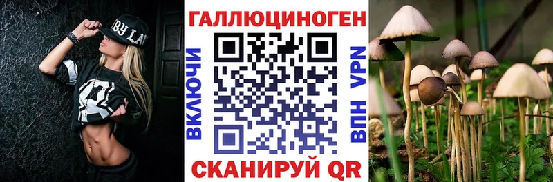 Галлюциногенные грибы мицелий  Сасово 